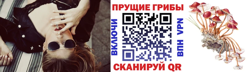 Галлюциногенные грибы Magic Shrooms  Чистополь 
